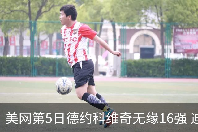 美网第5日德约科维奇无缘16强 迪米卢布列夫会师